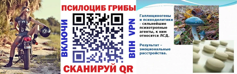 Псилоцибиновые грибы прущие грибы  Советский 